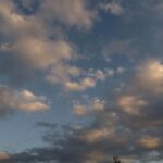 Featured image placeholder 16:9