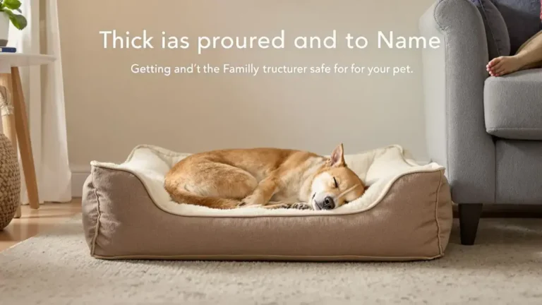 Dierenartsen waarschuwen: vermijd de bank en het bed, dit is de beste plek voor uw hond om te slapen.