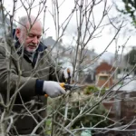 Featured image placeholder 16:9