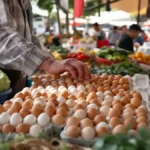 Featured image placeholder 16:9